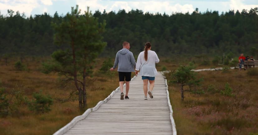 Een stel loopt samen over een houten vlonderpad door een open heidelandschap met dennenbos aan de horizon.