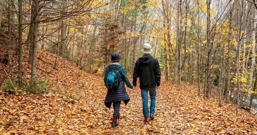 Two people in coats and hats walk side by side down a leaf-covered woodland trail among yellow autumn hardwoods.