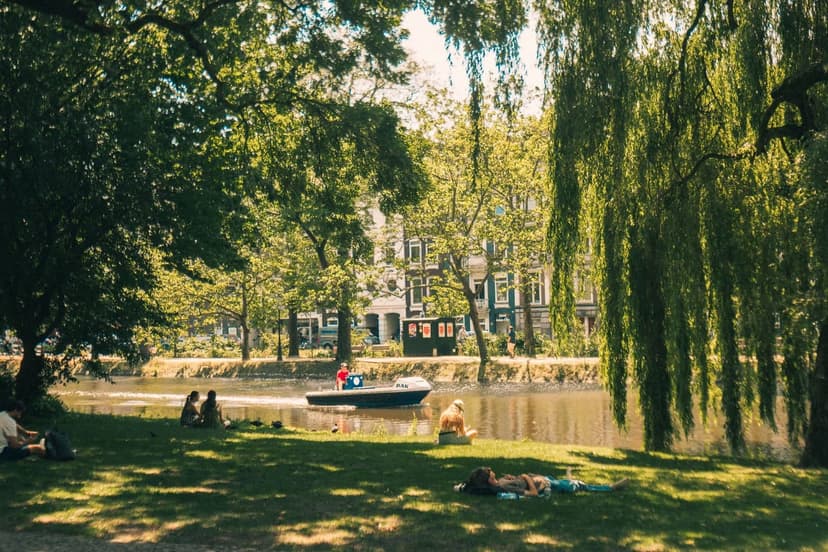 Mensen ontspannen op een zonnige zomerdag op een grasoever langs een Amsterdamse gracht, onder treurwilgen, terwijl een bootje voorbijvaart langs de grachtenpanden