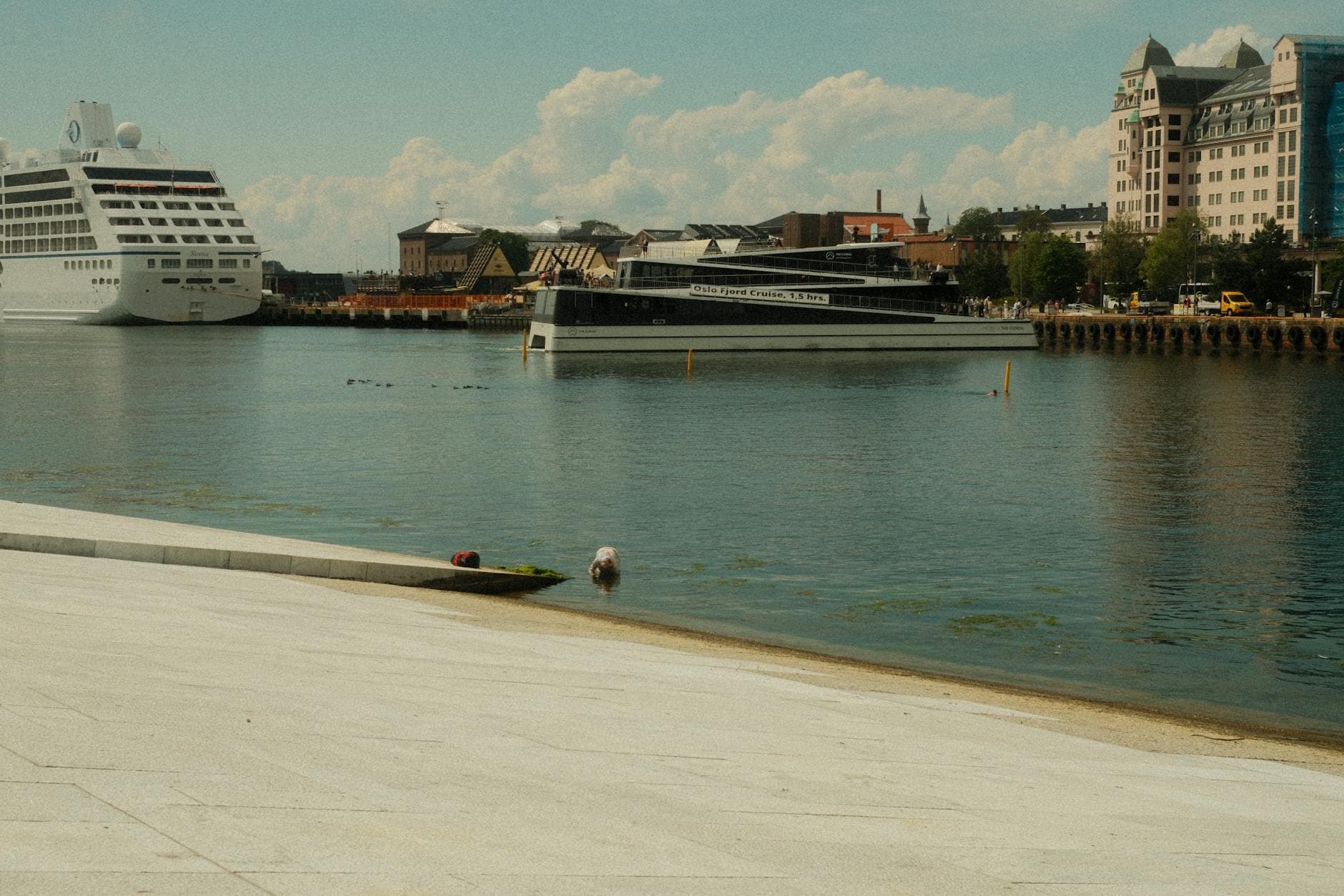 Cruiseskip og en turbåt ligger i havna foran lyse murbygg en solrik sommerdag.