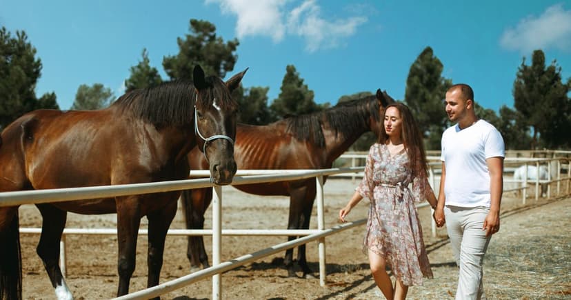 A couple walks hand in hand along a white paddock fence while two brown horses stand in the ring beside them.